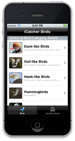 iCatcher Birds - iPhone