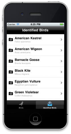 iCatcher Birds - iPhone Bird Identification App